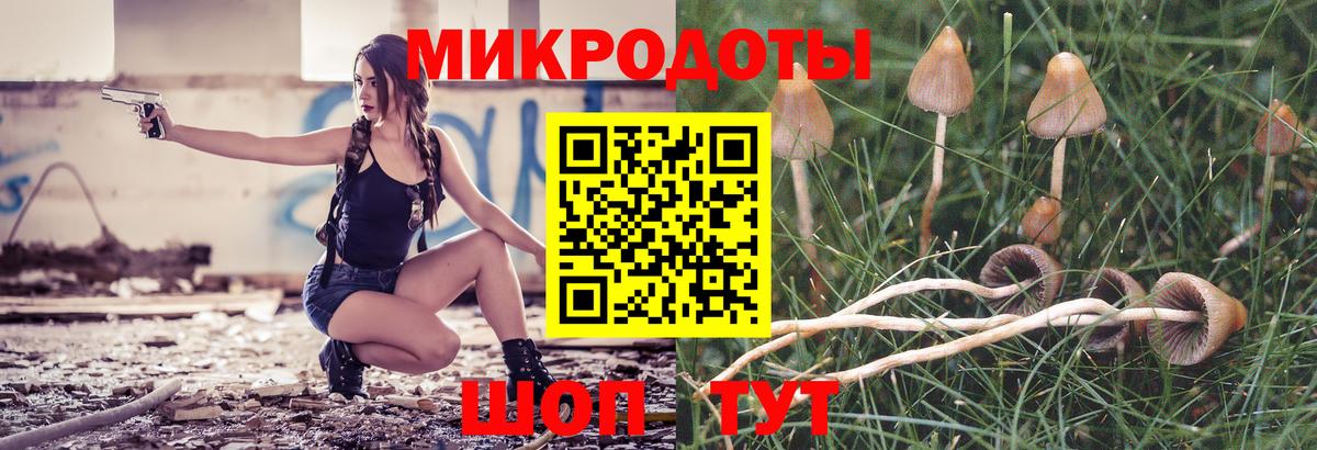 Галлюциногенные грибы Psilocybine cubensis Тюмень