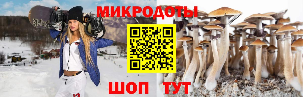 Тюмень  Псилоцибиновые грибы GOLDEN TEACHER  закладка  Вход с VPN  Галлюциногенные грибы Magic Shrooms 